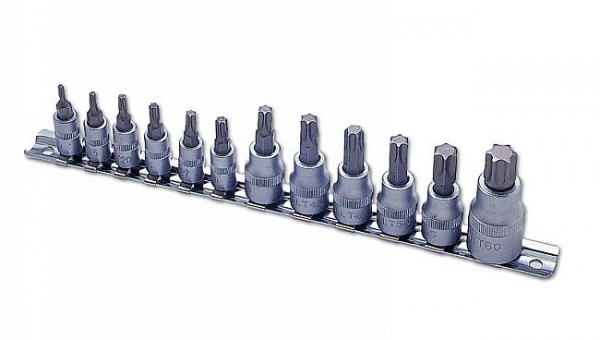 Torx-Nüsse T10 bis T60 - 12 teilig